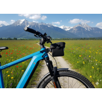 Adapter KLICKfix auf R&M (Metall)